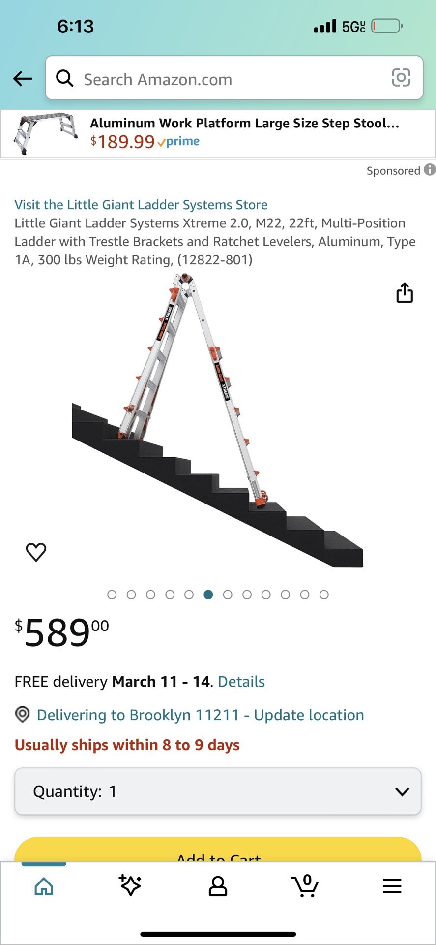Little Giant Ladder System