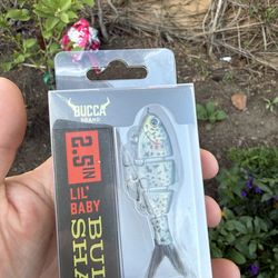 Bfs swimbait