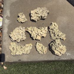 Sea Rock Fish Coral Rock Decoration