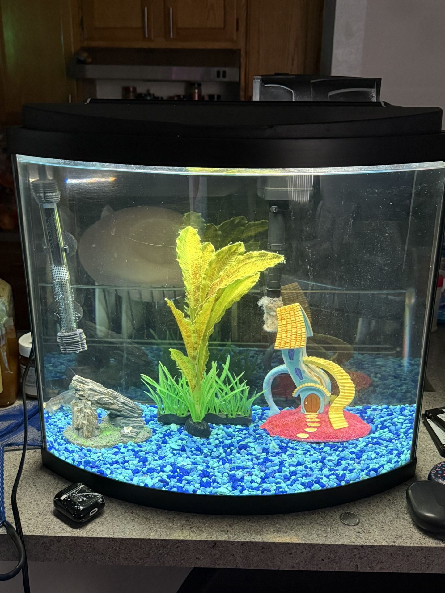 Fish Tank