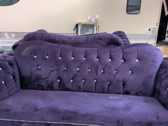 Velvet couches