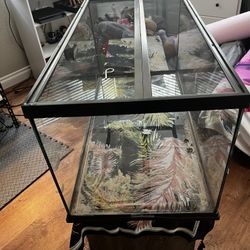 40 Gallon Med Tank 