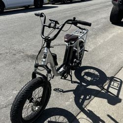 Radrunner Plus E-Bike