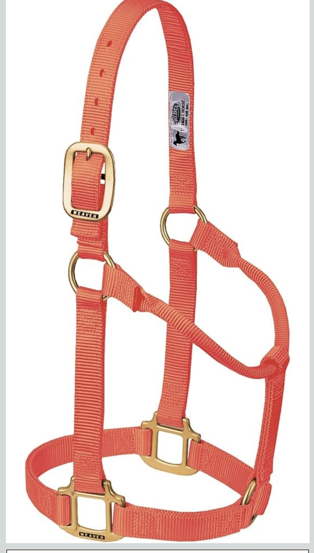 Horse Holter