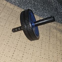 SPRI workout Wheel Curls/abs