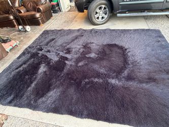 Rug 12 feet X 9 feet
