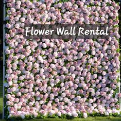 Pared De Flores Rosa