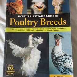 Farm - Guide to Poultry Breeds Book