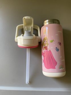 Zak! Disney Princess 14 oz Stainless Steel Kids Water Bottle