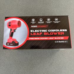 Wood Ranger Electric Cordless Leaf Blower 24V Lithium-lon Battery + Charger, New