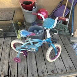 Frozen Bike