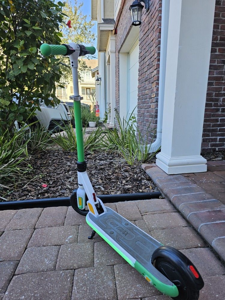 Electric Scooter Kids
