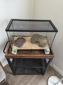 Reptile Cage