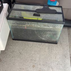 10 Gallon Tank