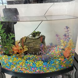 5 Gallon Aquarium