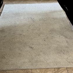 Indoor Tan Rug 5x7