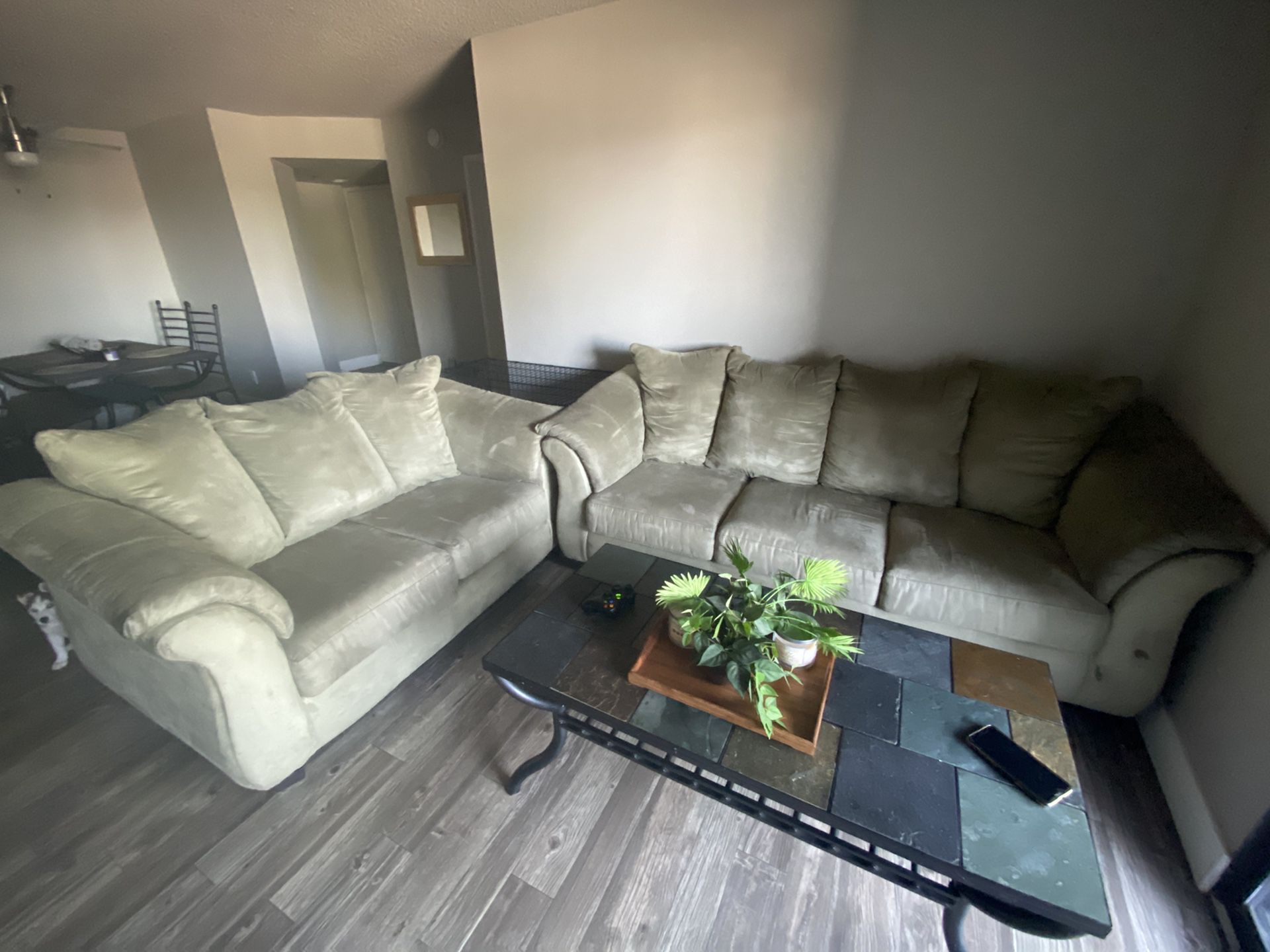 Green/Grey Comfortable Love Seat & Couch