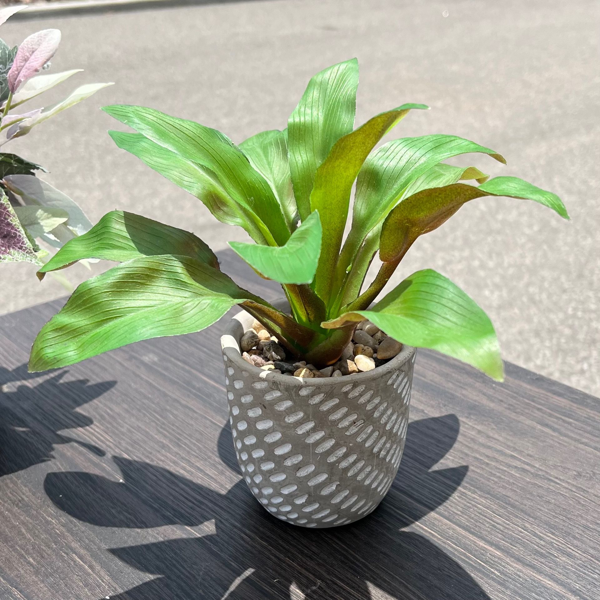 Stylish Boho Vibrant Green Artificial Potted Plant in Chic Gray White Planter 8” Modern Home Decor