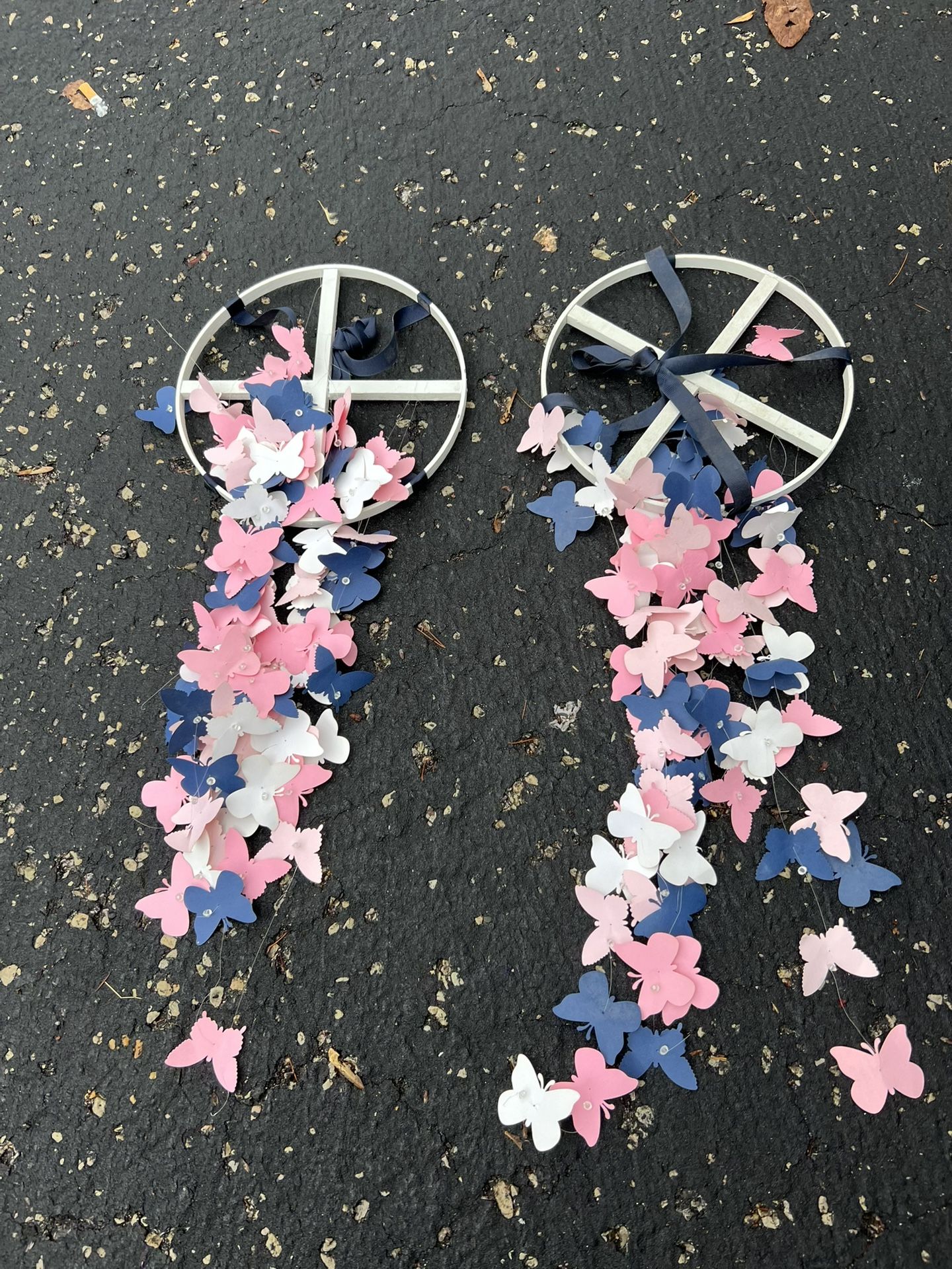 2 Butterflies Hanging