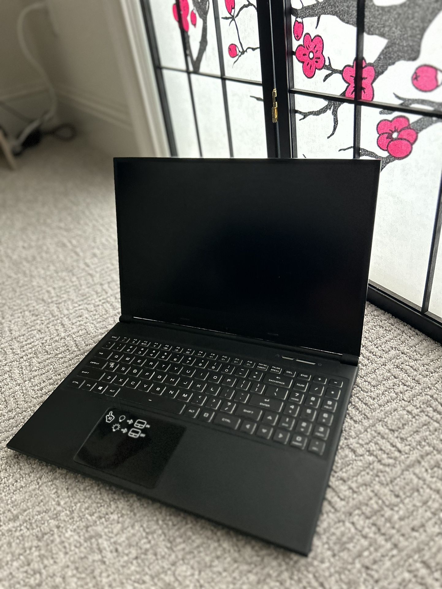 Main Gear Gaming Lap Top