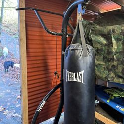 Punching  Bag With Pull Up Bar
