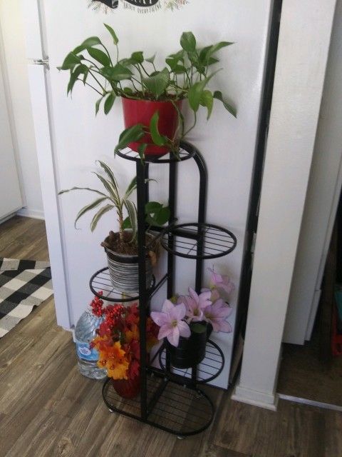 Plant Stand
