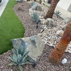 Decorative Rock and Desert Shrubs