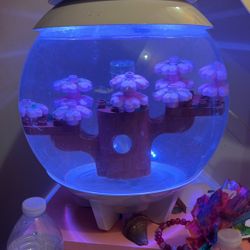 Fish Tank And Decorations 