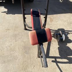 Weight Bench