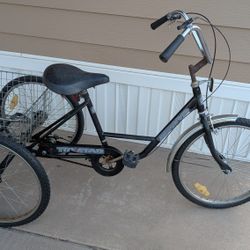 Tricycle Zephyr TriStar-24"-Tires,3-Speed, Rear Basket, Front Brake Rear Brake