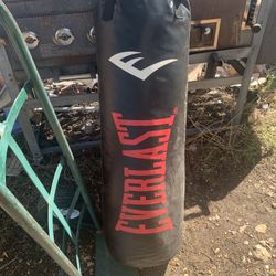 Punching Bag 