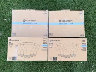 Ecosmart Bulbs 6 Pack