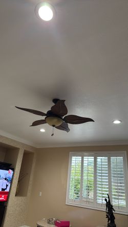 ceiling fan 
