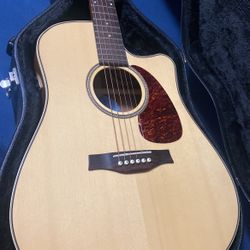 Seagul Accoustic/ Electric Guitar