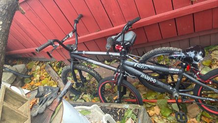 Bmx Bikes Youth And Adult