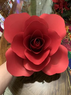 Paper Flowers /Flores De Papel