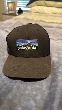 Patagonia trucker cap