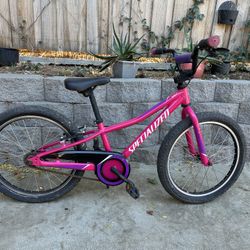 20” Specialized Rip Rock