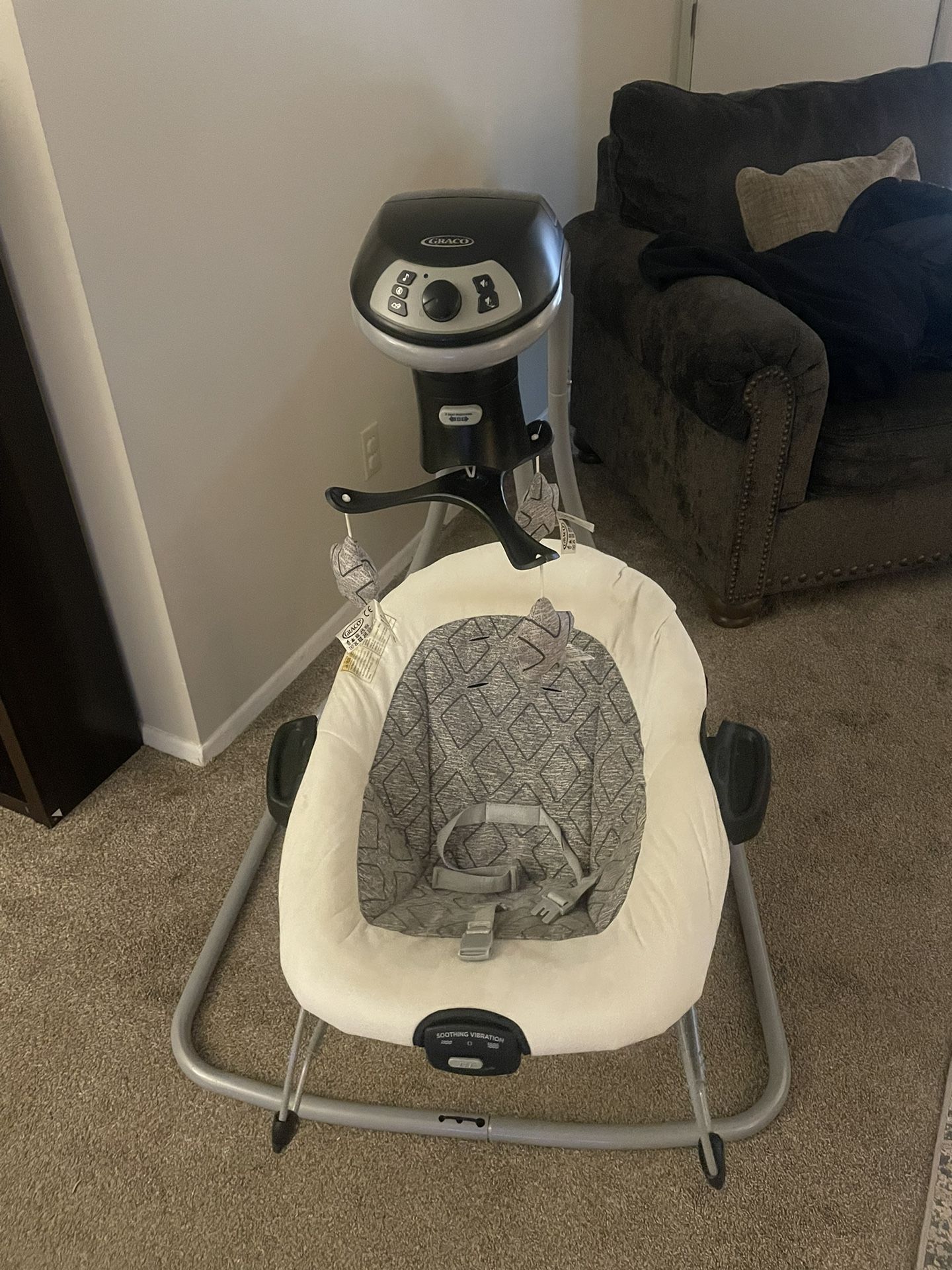 Graco Baby Swing