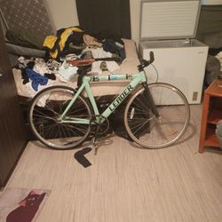 Leader 725 Carbon Fiber  Fixie