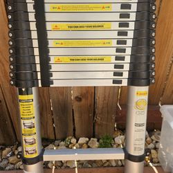 12.5ft Telescoping Extension Ladder