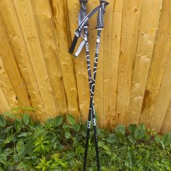 Scott 48-in Ski Poles