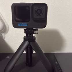 Go Pro 10 Black 