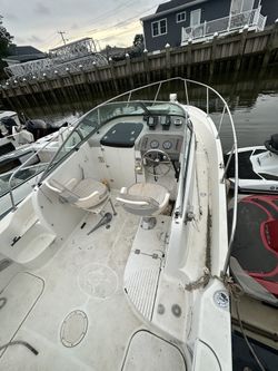 Bay Line Trophy Pro 150 Mercury6500
