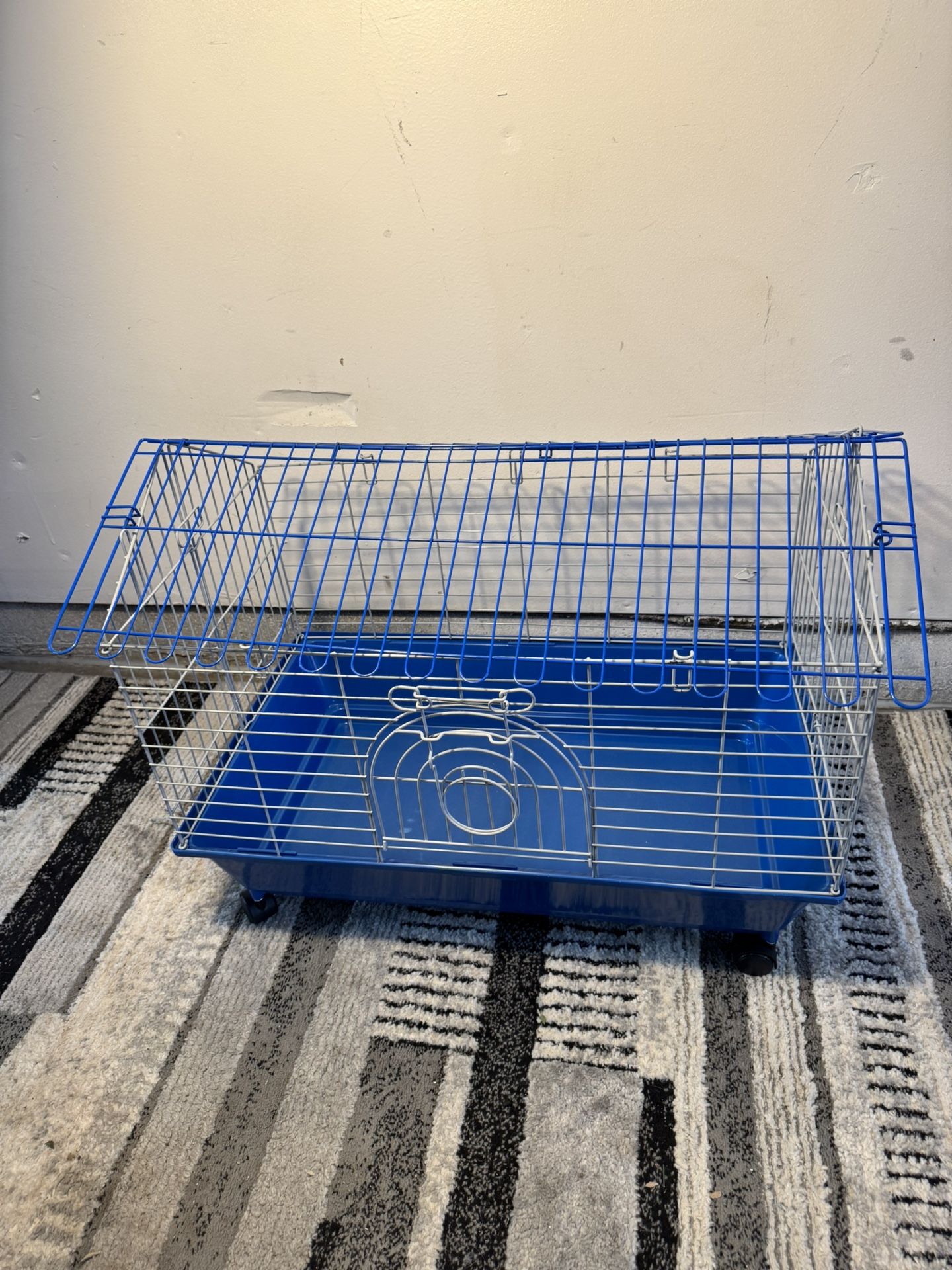 Birds Cage
