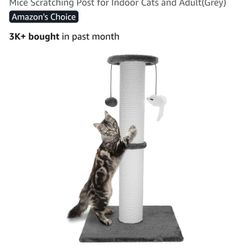 Sturdy Tall Cat Scratcher 