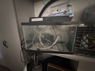 Fish tank