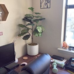 Faux Fiddle Leaf Fig