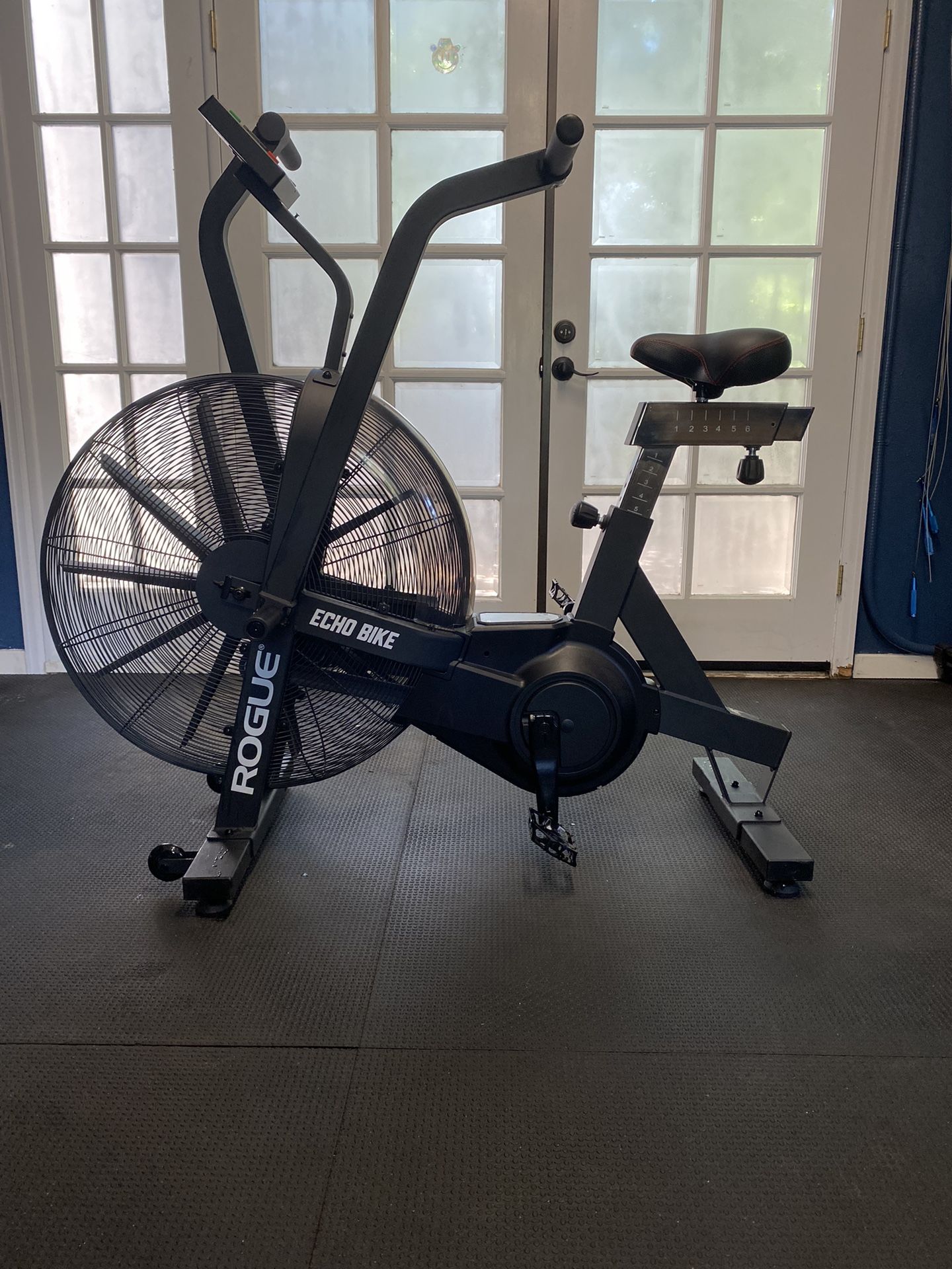 Rogue Echo Bike