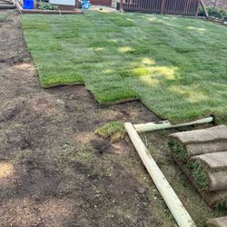 Fresh Sod 